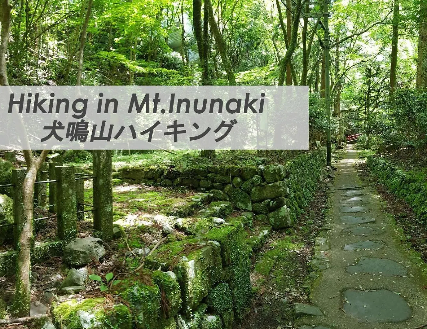 Apartment Araula - Vacation Stay 22838V Izumisano Japan
